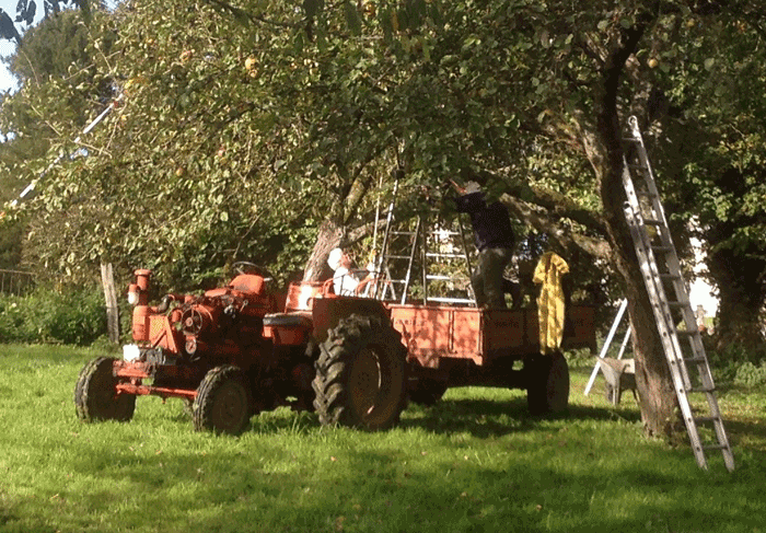 tracteur